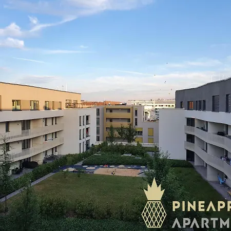 Pineapple Apartments Penthouse Am Zwinger - 162 Qm - 1X Free Parking Dresden Exterior photo